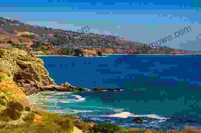 A Scenic View Of The California Coastline, Showcasing The Rugged Cliffs, Sandy Beaches, And Lush Vegetation. Explore USA Top Visited Areas By Mark Betts