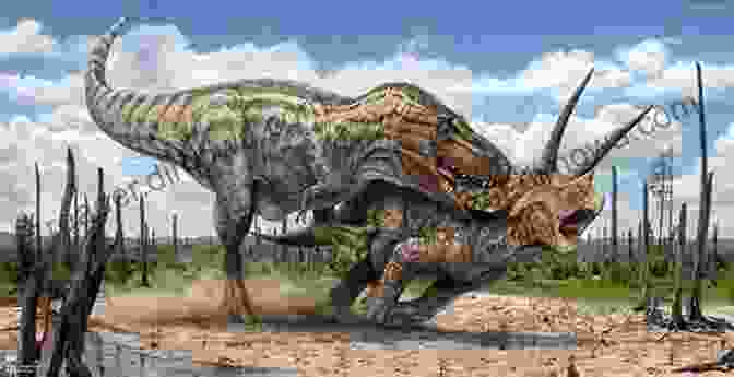 A T Rex Hunting A Triceratops Predator Hunters And Killers From Dinosaurs Through The Ice Age Mammals