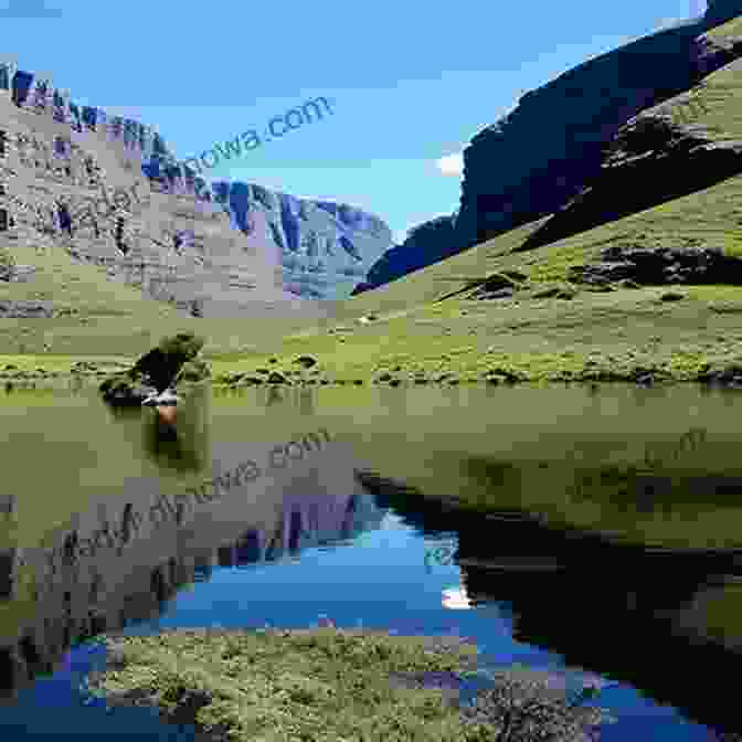 An Angler Casting A Line In A Clear River In South Africa Wild South: Hunting And Fly Fishing The Southern Hemisphere