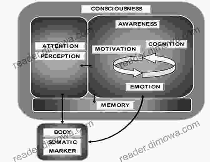 An Illustration Depicting The Reciprocal Relationship Between The Mind And The Body From Quantum Physics To Energy Healing: A Physicist S Journey To Mind And Healing