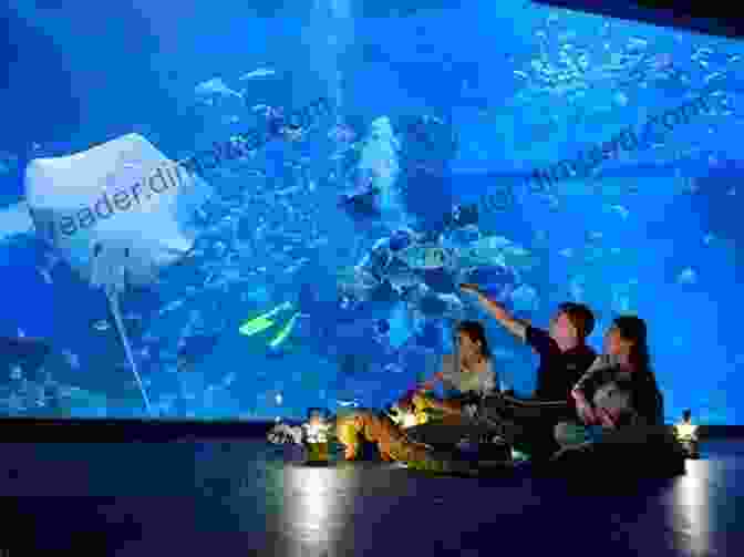 Jakarta Aquarium Top Ten Sights: Jakarta