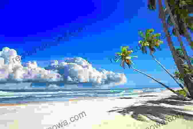 Picture Of Kerala Beach With Coconut Trees, Blue Ocean, And Sandy Shore The Most Popular Beach Resorts In India