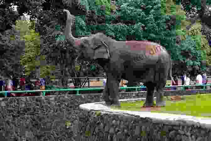 Ragunan Zoo Top Ten Sights: Jakarta