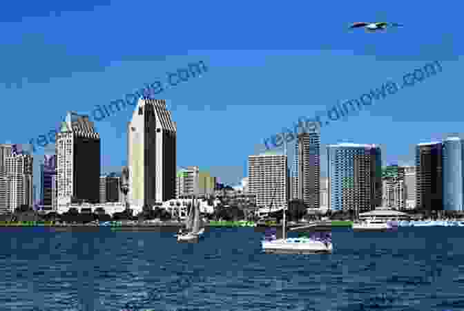 San Diego Skyline With Sailboats In The Harbor What To Do In San Diego