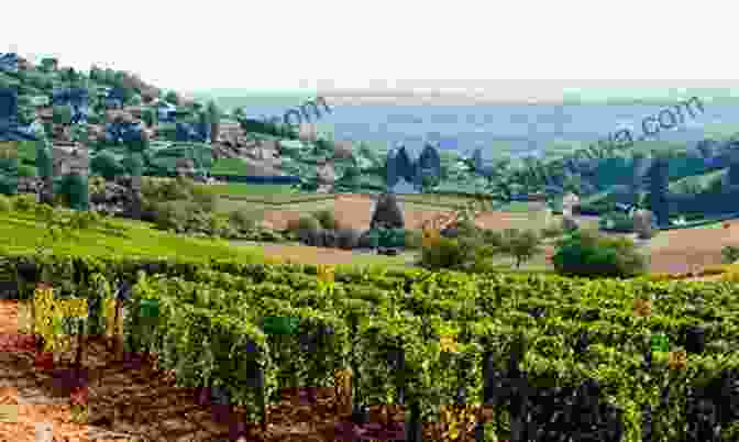 Sancerre Loire Valley A World Heritage Site: Travel Guide Loire Valley 2024