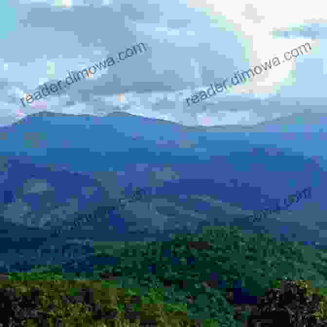 Vintage Photograph Of Beech Mountain In The Summertime Beech Mountain (Images Of America)