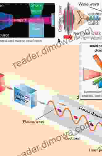 Applications Of Laser Plasma Interactions Stephen Jay Gould