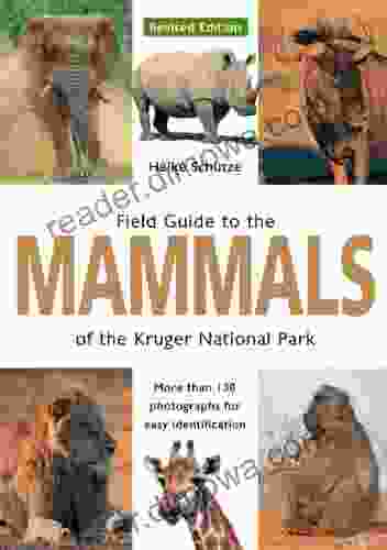 Field Guide To Mammals Of The Kruger National Park