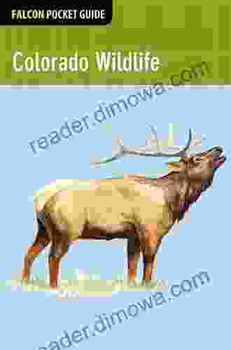 Colorado Wildlife (Falcon Pocket Guides)