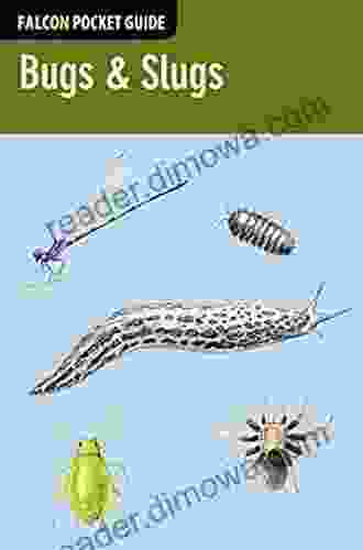 Bugs Slugs (Falcon Pocket Guides)