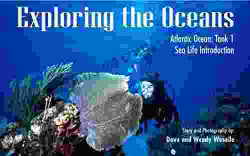 Exploring The Oceans Atlantic Ocean: Tank 1: Sea Life Introduction