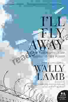 I Ll Fly Away: Further Testimonies From The Women Of York Prison