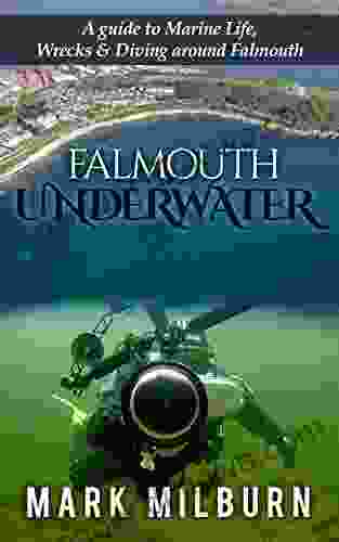 Falmouth Underwater: A Guide To Marine Life Wrecks And Dive Sites Around Falmouth