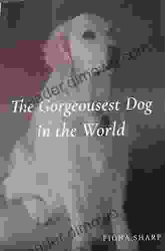 The Gorgeousest Dog in the World