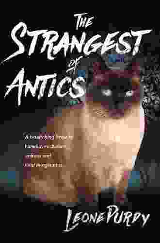 The Strangest Of Antics: A Bewitching Brew Of Humour Excitement Sadness And Total Imagination